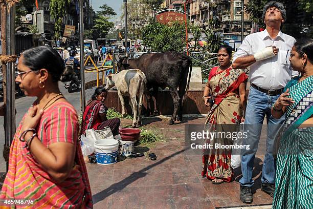 Devotees pray and feed cows outside a Hindu temple in Mumbai, India, on Wednesday, March 11, 2015. The government of the state of Maharashtra last...