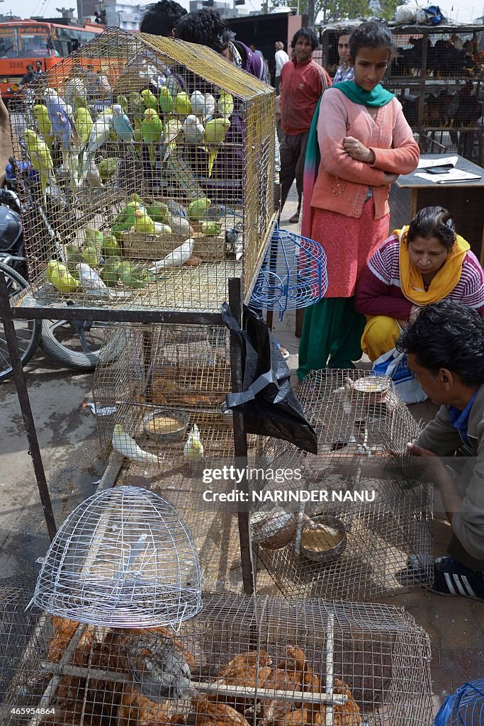 INDIA-ECONOMY-BIRDS