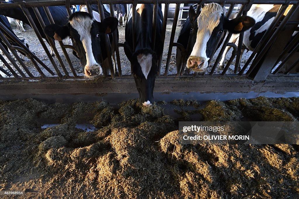 ITALY-EU-AGRICULTURE-MILK-QUOTAS