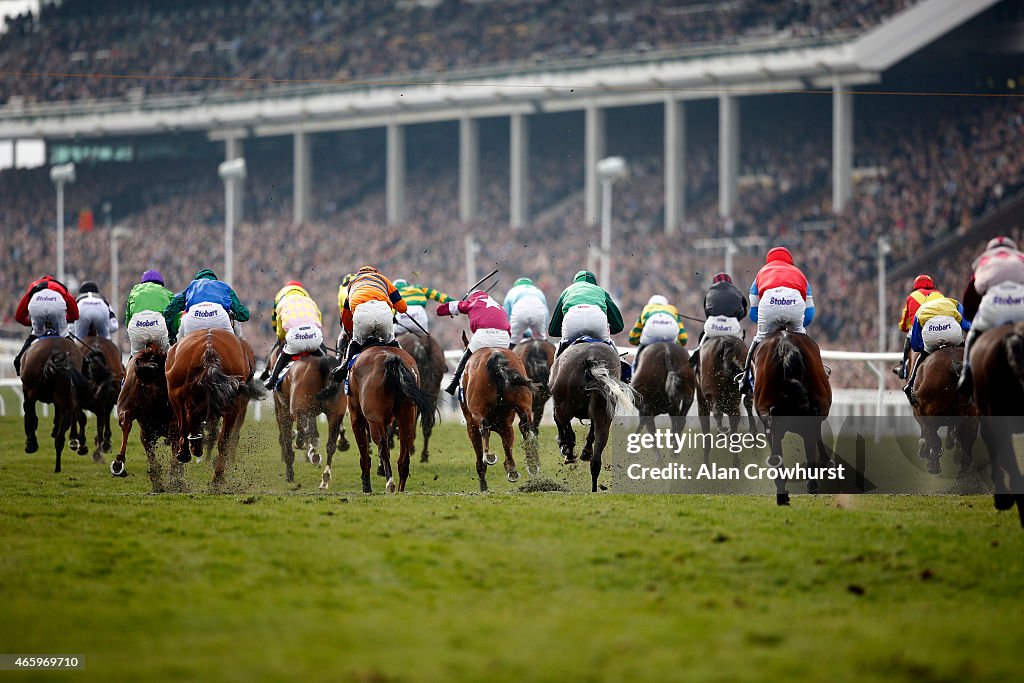 Cheltenham Festival - St Patrick's Thursday