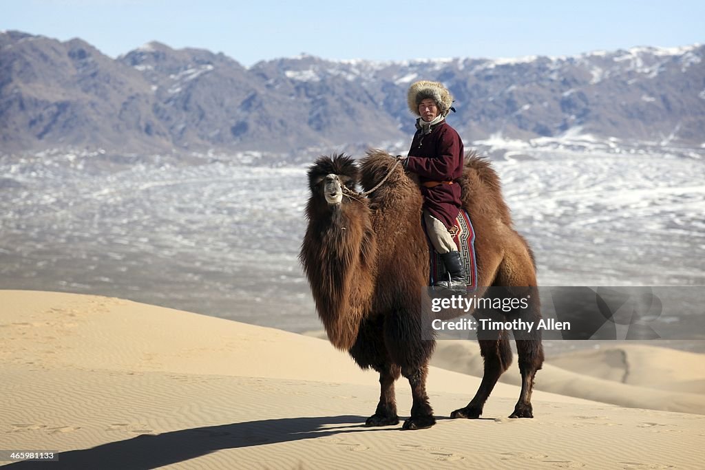 Nomadic camel herder on sand dune in Gobi desert