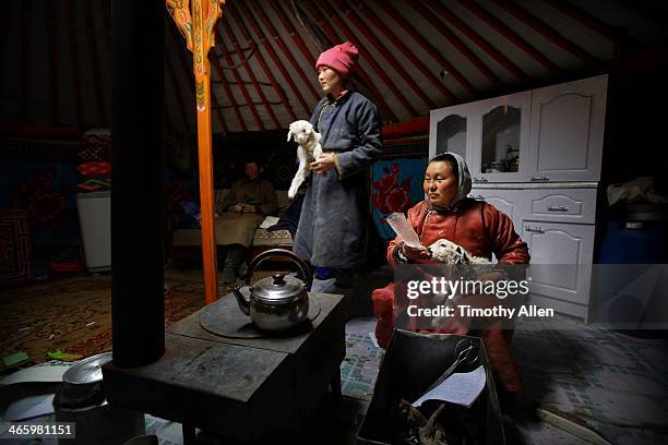 mongolian nomadic women feed milk to lambs in ger - mongolian women 個照片及圖片檔