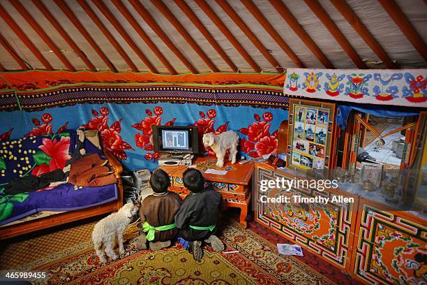 nomadic boys play video game inside family ger - tetris stock pictures, royalty-free photos & images