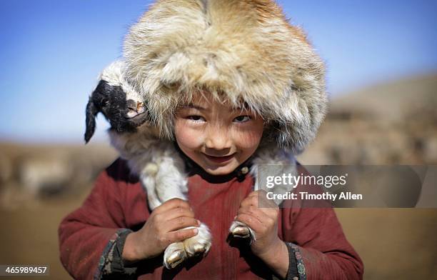 Mongolian nomadic boy carries lamb on shoulders