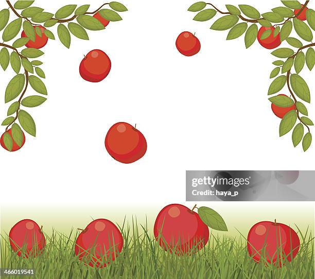 apples and fruit on grass - apple tree vector stock illustrations