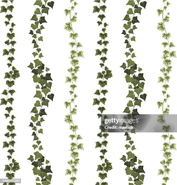 ivy nahtlose muster - creeper stock-grafiken, -clipart, -cartoons und -symbole