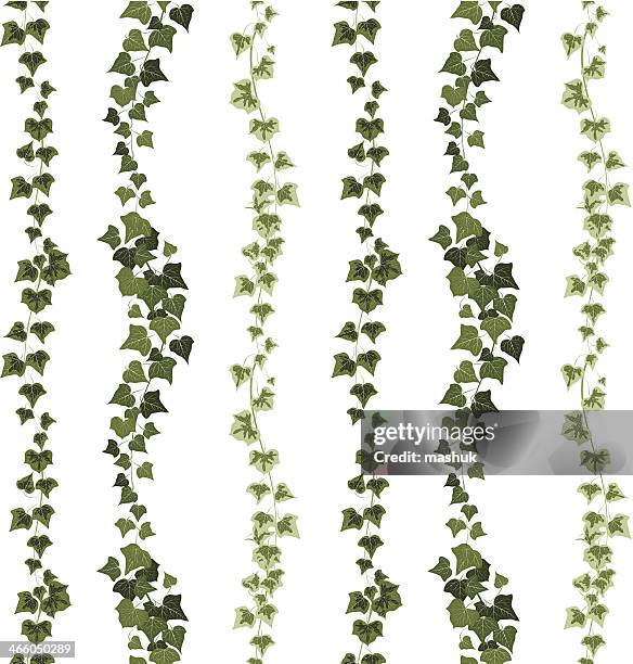 illustrazioni stock, clip art, cartoni animati e icone di tendenza di edera seamless pattern - edera
