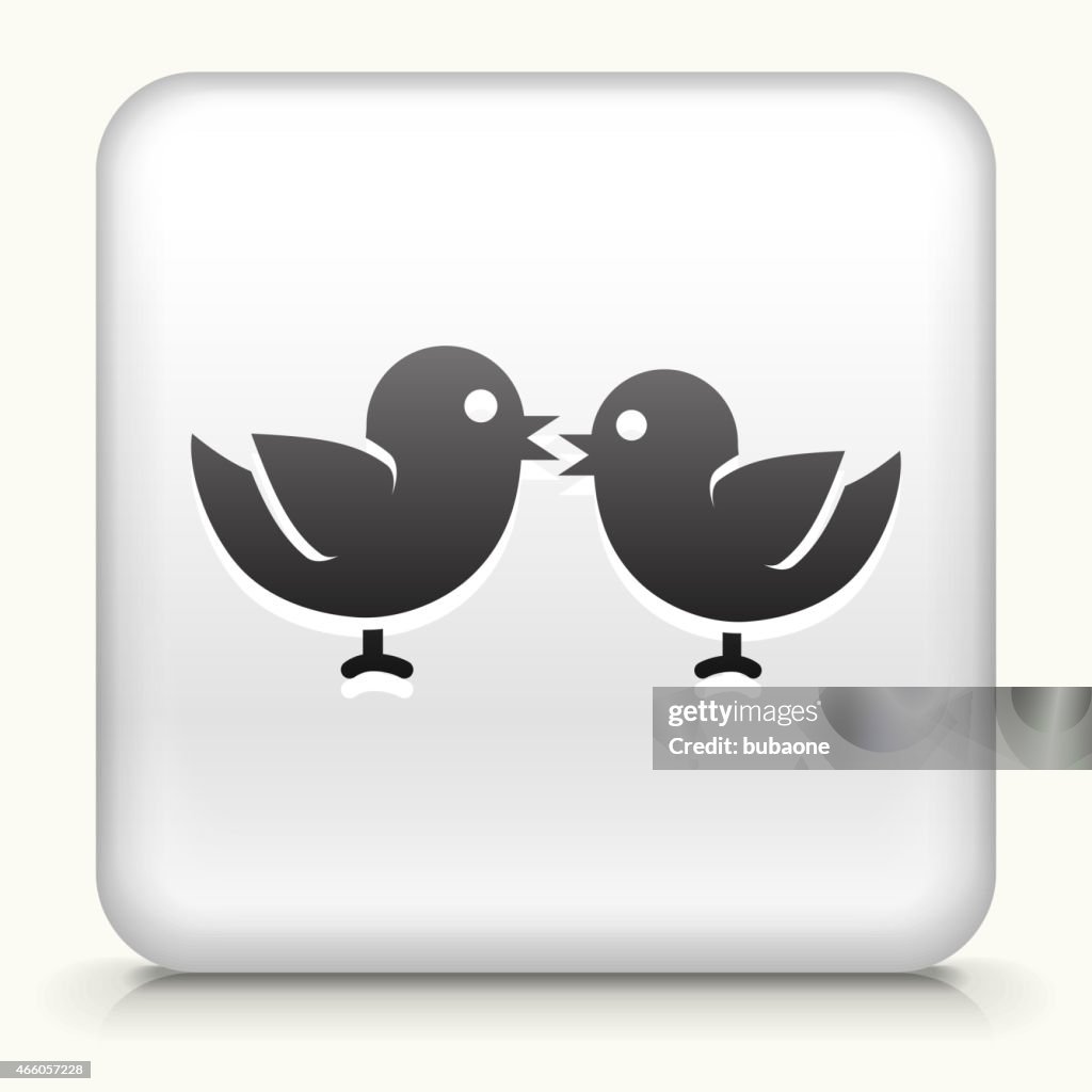 Square Button with Birds royalty free vector art