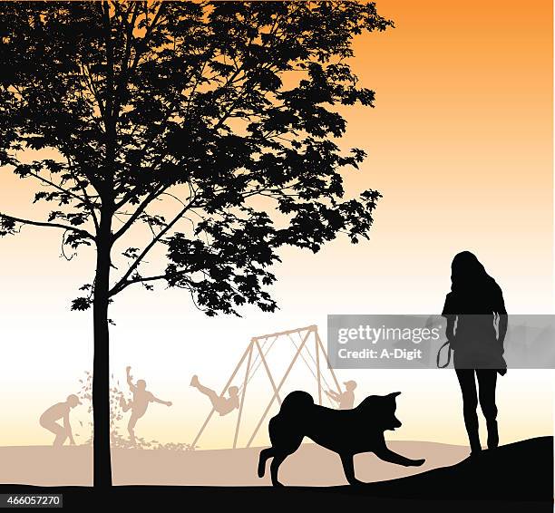 myhusky - dog play stock illustrations