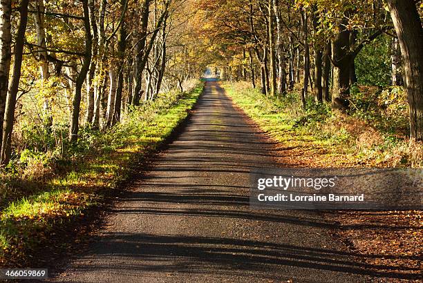 autumn road - crewe fotografías e imágenes de stock
