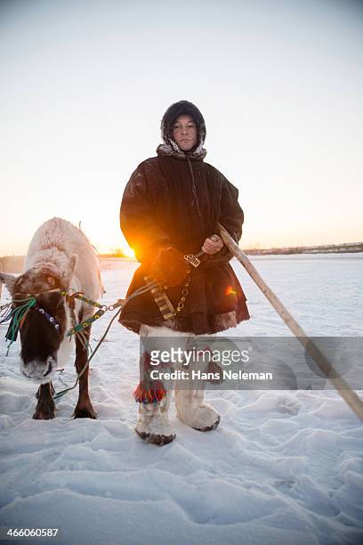 portrait of a nenets man with raindeer - nenets stock pictures, royalty-free photos & images
