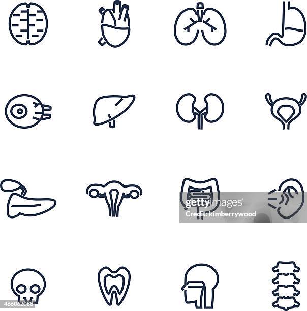 organ - respiratory failure stock illustrations