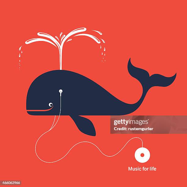 music for life - whale tail illustration stock illustrations
