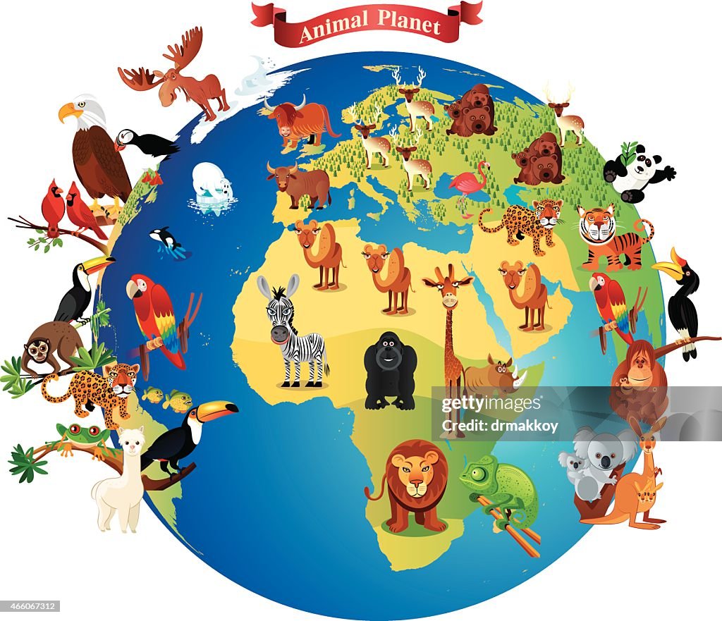 Animals Planet