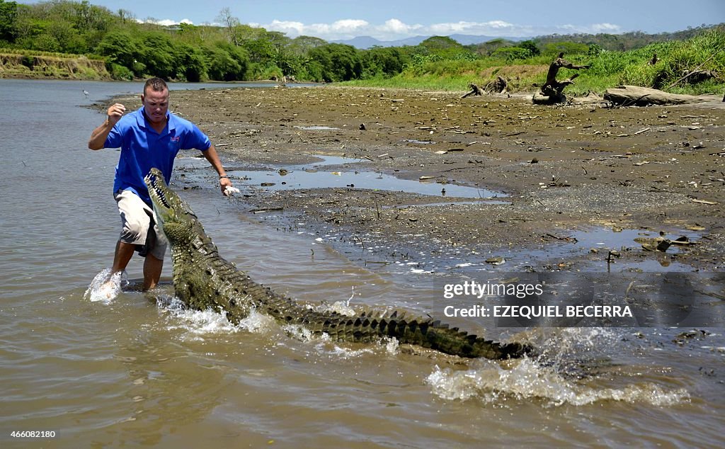 COSTA RICA-TOURISM-CROCODILES