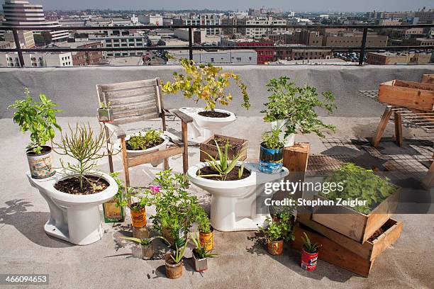 a rooftop garden that utilizes recycled materials - urban gardening stock-fotos und bilder