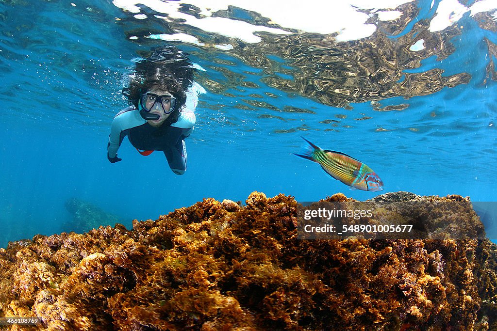 Fish and girl diver