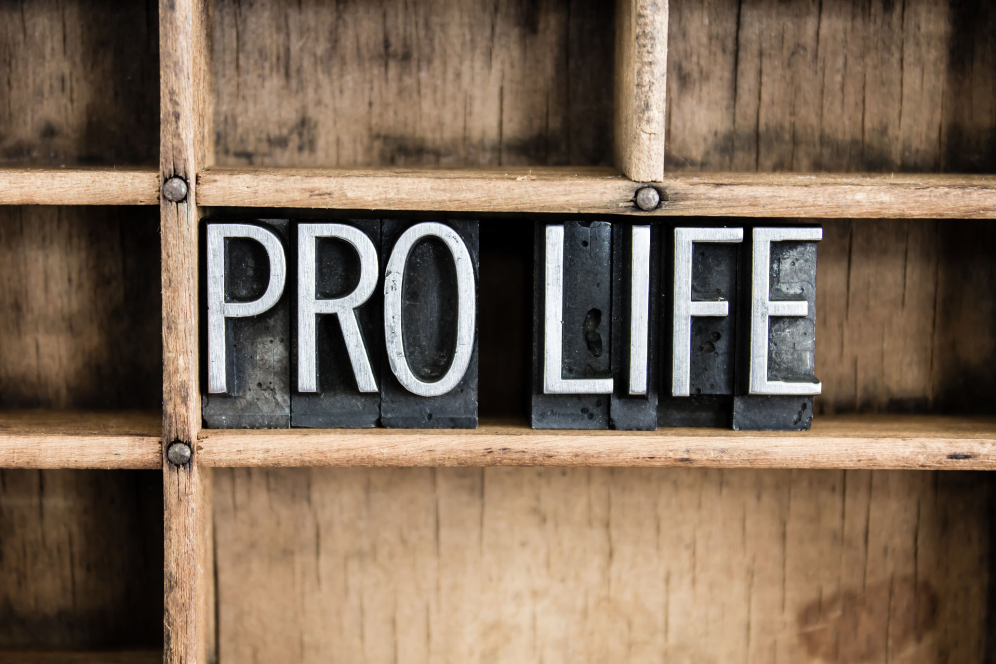 pro life discussion