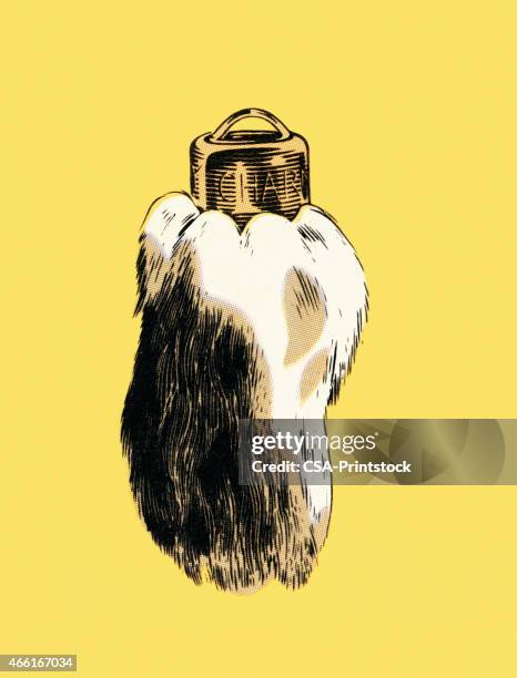 Lucky Rabbit Foot Vector Image Lucky Rabbit Foot Photos and Premium High Res Pictures - Getty Images