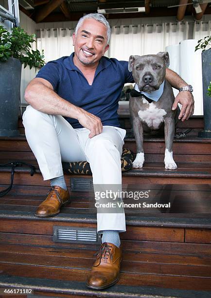 Dog behaviorist Cesar Millan attends the celebration for Season 2 of "Cesar 911" on Nat Geo Wild at SkyBar at the Mondrian Los Angeles on March 13,...