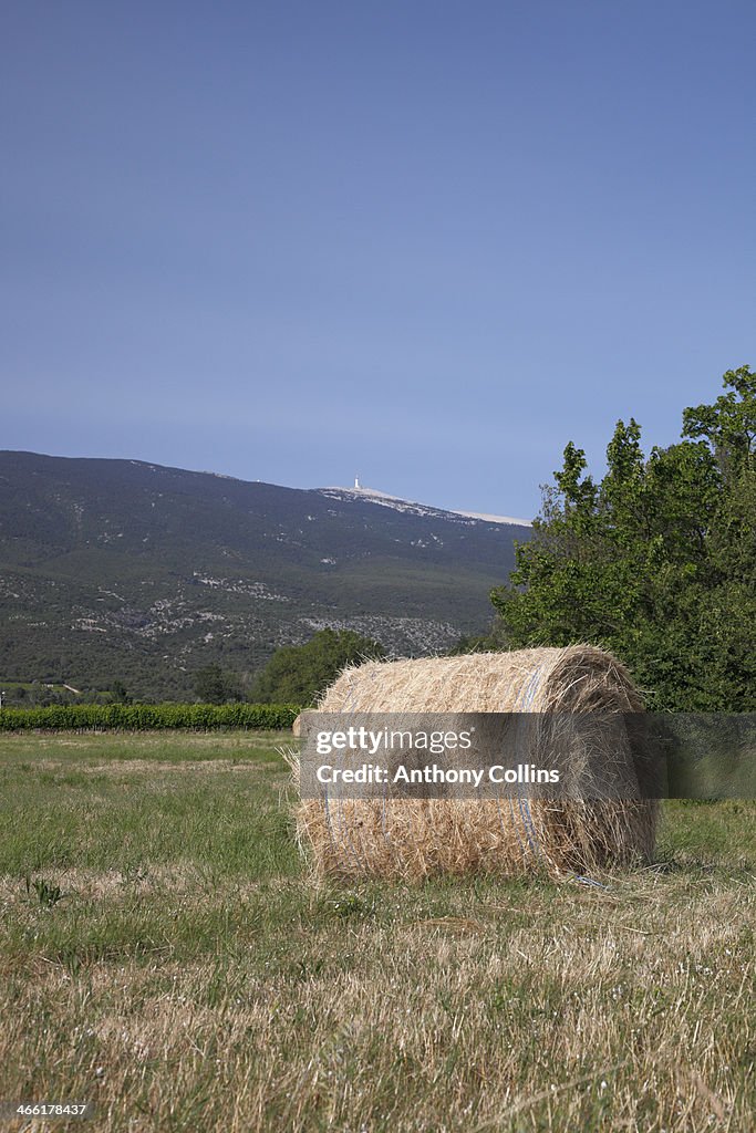 Hay bale in a Provencal field