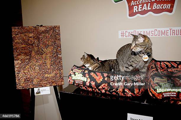 Klaus and Oskar the Blind Cat sit next to portrait if them made entirely out of bacon during the South by Southwest at Haus of Bacon on March 13,...