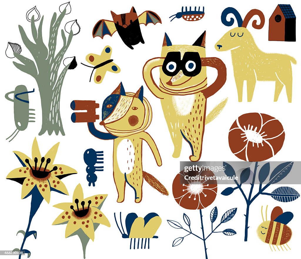 Illustration set of Coyote, sheep explorers, insects and plants