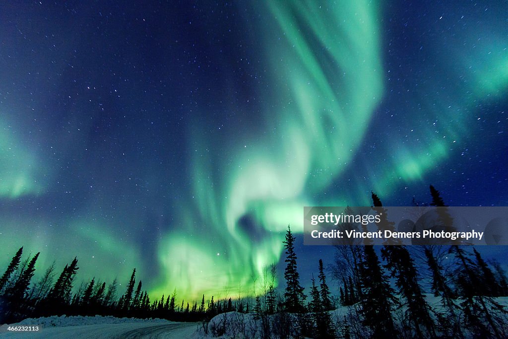 Northern Lights close to Yellowknife in the Northw