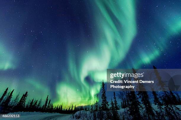 northern lights close to yellowknife in the northw - canada foto e immagini stock