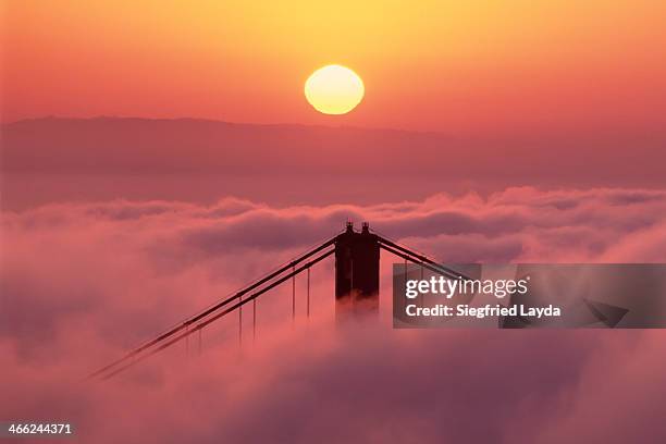 golden gate bridge - golden gate bridge city fog stock-fotos und bilder