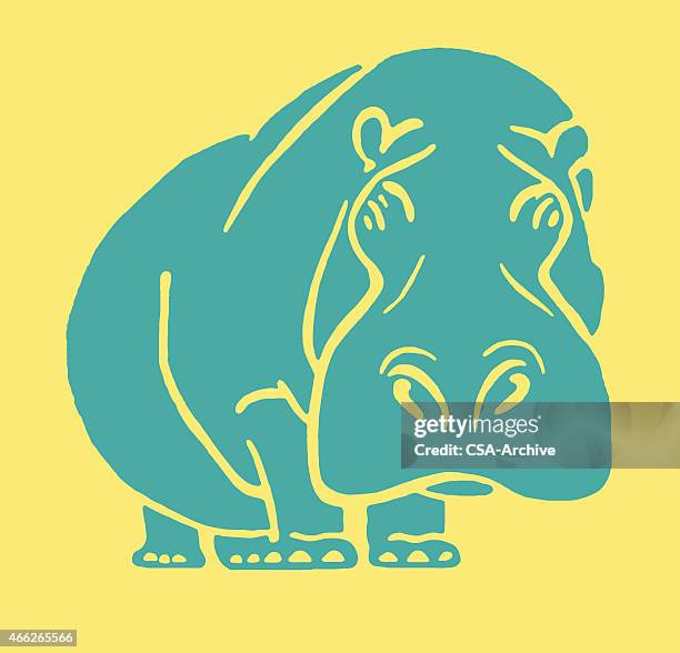 hippopotamus - hippopotamus stock illustrations