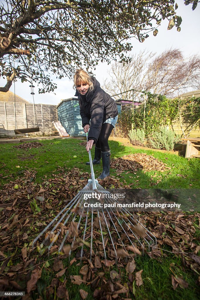 Lady raking up leaves in garden