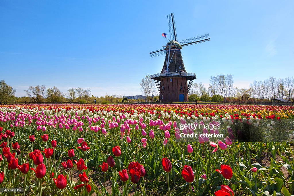 Wooden Windmill in Holland Michigan