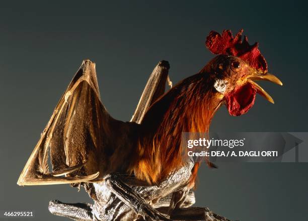 Basilisk , king of the serpents laid by a seven-year-old rooster and hatched by a toad, it was believed that it could kill with a gaze. Supernatural.