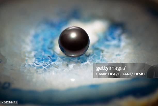 Black pearl from the Tuamotu archipelago, French Polynesia .