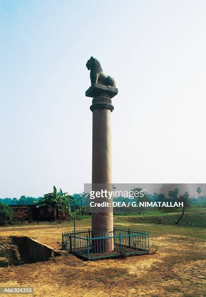 140 Ashoka Pillar Photos and Premium High Res Pictures - Getty Images