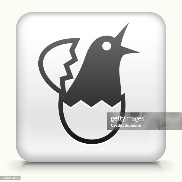 Hatching Process Icon 52 Chick Hatching Icon High Res Illustrations - Getty Images