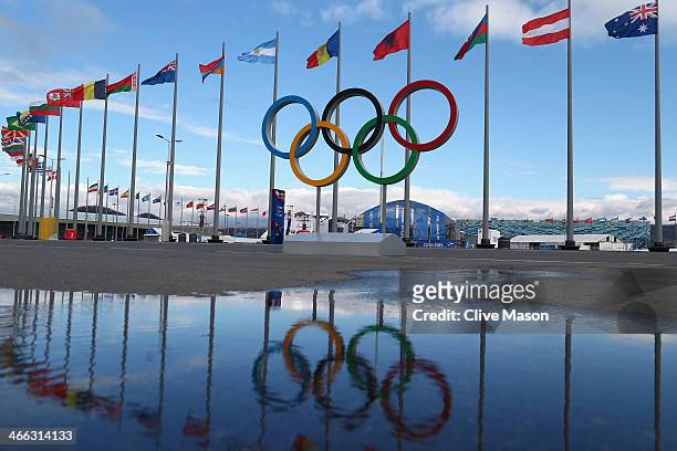 The Olympic Rings are pictured next flags of the competing nations inside the Olympic Park prior to the Sochi 2014 Winter Olympics on February 1,...