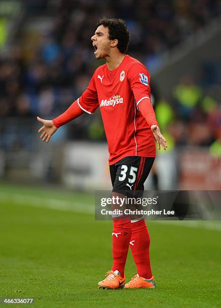 Fabio da Silva of Cardiff City reacts during the Barclays Premier League match between Cardiff City and Norwich City at Cardiff City Stadium on...