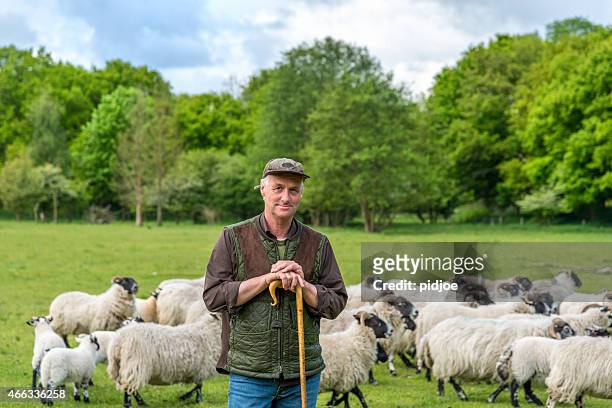 portrait of shepherd leaning on his staff - herd stock pictures, royalty-free photos & images
