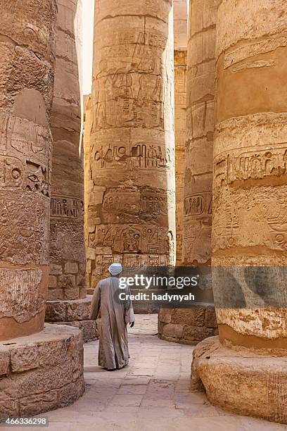 egyptian temple guard in karnak complex, luxor, egypt - temples of karnak stock pictures, royalty-free photos & images