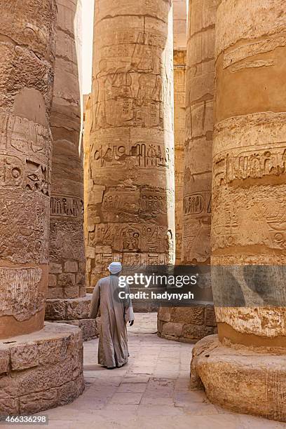 templo egípcio guarda no complexo de karnak, luxor, egito - cairo - fotografias e filmes do acervo