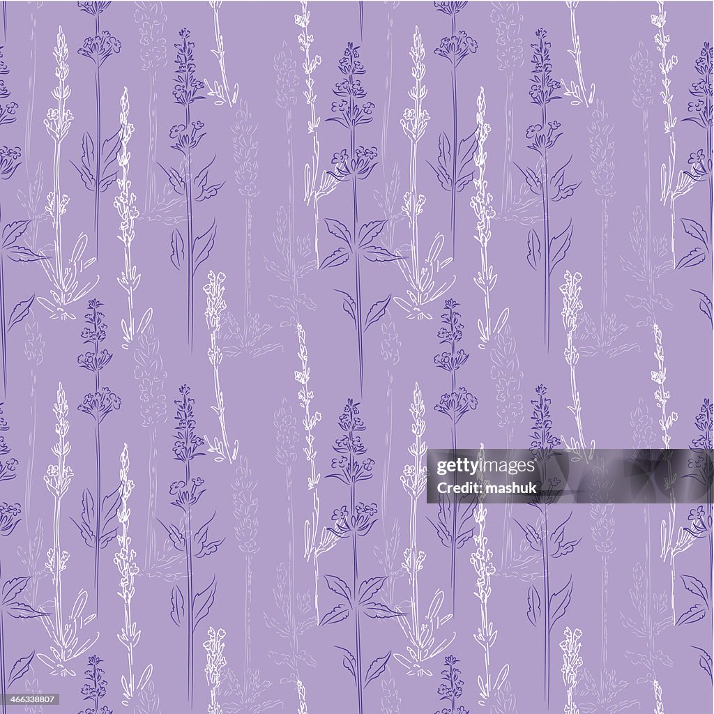Lavanda patrón sin costuras