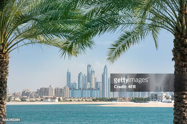 dubai marina skyline framed by palm trees - dubai stock pictures, royalty-free photos & images