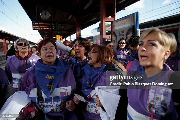 Protester traveling on the 'Freedom Train' shout slogans as they arrive to Chamartin Station on February 1, 2014 in Madrid, Spain. Pro-choice groups...