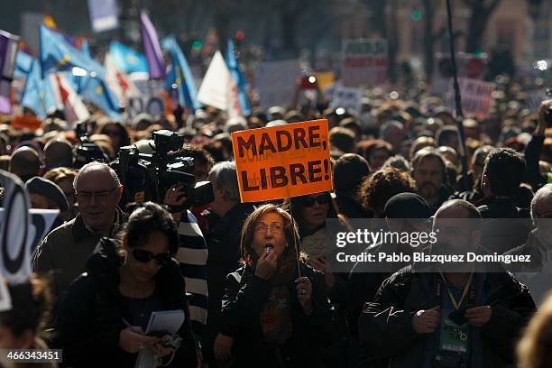 Protester blows a whistle and holds a placard reading 'madre libre' which means 'mother by choice' during a pro-abortion protest on February 1, 2014...
