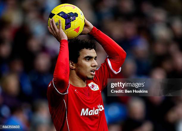 Fabio da Silva of Cardiff in action during the Barclays Premier League match between Cardiff City and Norwich City at Cardiff City Stadium on...