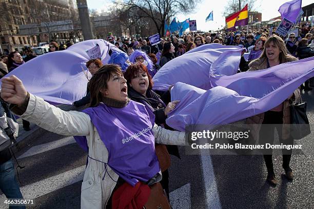 Protesters shout slogan during a pro-abortion protest on February 1, 2014 in Madrid, Spain. Pro-choice groups organized the 'Freedom Train' from...