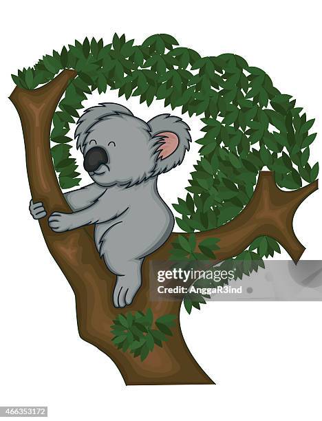 koala bear on a tree - big ears stock illustrations
