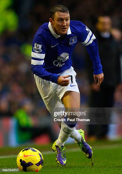 Aiden McGeady of Everton in action during the Barclays Premier League match between Everton and Aston Villa at Goodison Park on February 1, 2014 in...